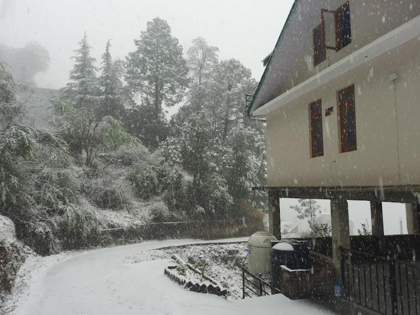 Aagaman Woods Shimla Exterior foto