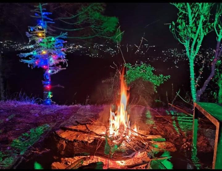 Aagaman Woods Shimla Exterior foto